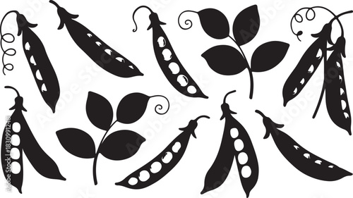 A black and white illustration of seven pea pods and leaves, a graphic design for culinary and agricultural themes