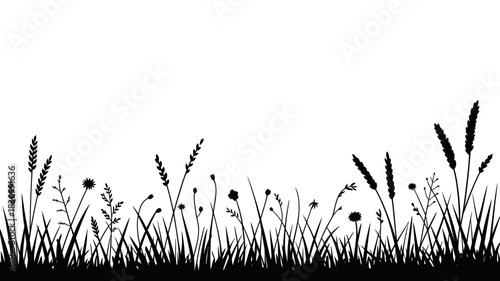 Silhouette of wild grasses and wildflowers against a clean white background, capturing the essence of a meadow in a single frame.