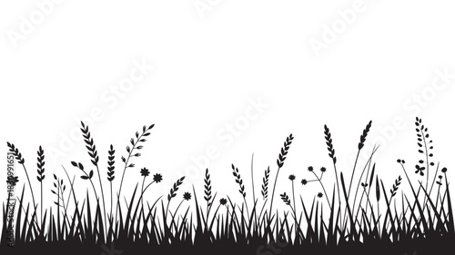 Silhouette of wild grasses and wildflowers growing in a field, isolated on a clean white background, perfect for design elements and nature themes.