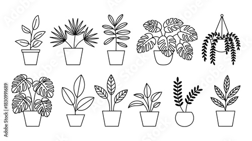 Collection of hand-drawn potted houseplant illustrations with various leaf shapes and sizes, isolated on a clean white background, for decorative use.