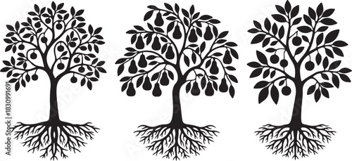 A black and white illustration of three fruit-bearing trees with intricate root systems, ideal for design elements