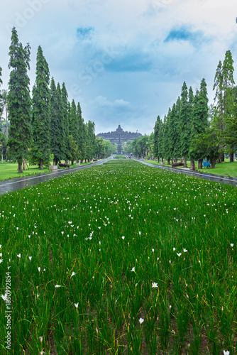 Borobudur Indonesia 12 11 2025 – Tree-lined pathway leading to the world’s largest Buddhist temple in Java, framed by lush greenery.