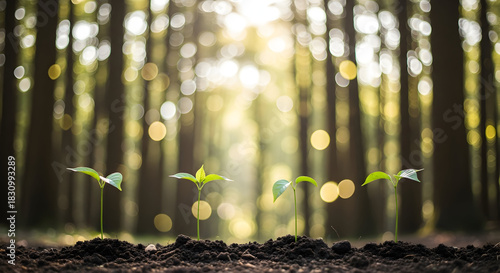 Green Innovation Sustainable Solutions A Path Towards an Eco Friendly Future Empowering Sustainability Nurturing Growth and Protecting Our Planet Through Eco Awareness