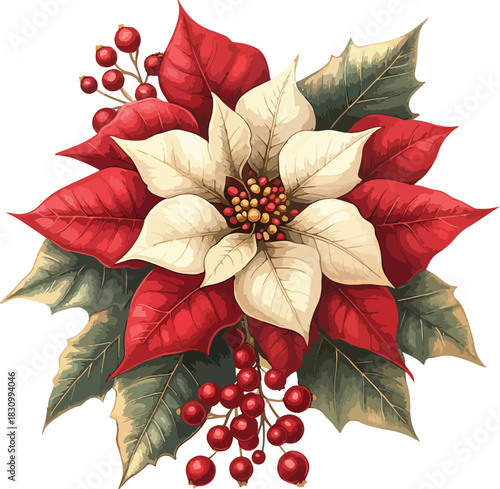 Red poinsettia flower plant decoration for Christmas and holiday season celebration