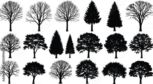 Collection of detailed tree silhouette vector illustrations featuring diverse forest shapes, natural foliage designs, seasonal woodland elements, perfect 
