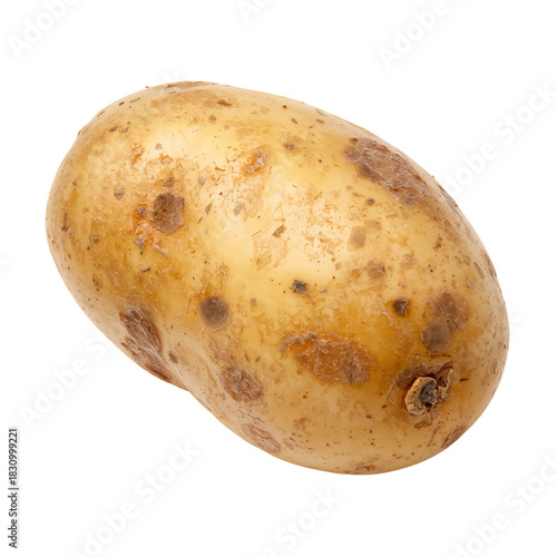 Fresh Brown Potato Ready for Cooking or Baking in Various Dishes and Recipes