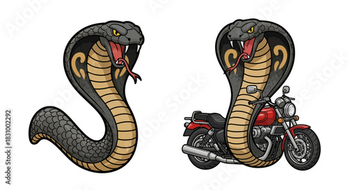 Cartoon cobras: one slithering freely and the other intertwined with a motorcycle