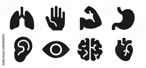 Human body icon collection in black. Includes lungs, hand, muscle arm, stomach, ear, eye, brain and heart. The icons are bold and clear for medical, anatomy and health-related themes