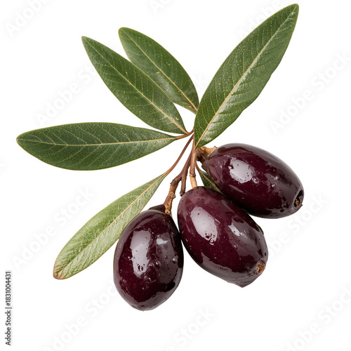 Fresh Olives Arranged With Green Leaves on a White Background for Culinary Use