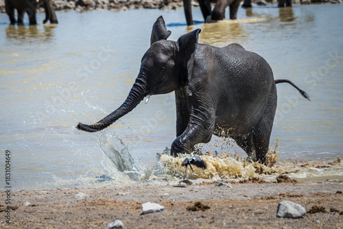 Ein Tag im Etosha Nationalpark