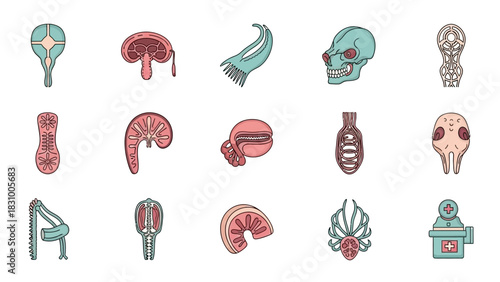 Vector illustration design set featuring a collection of diverse food items and animal icons including cats, dogs, and fish in a cartoon silhouette style with heart and circle pattern elements