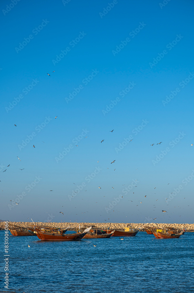 Fototapeta premium Al Ashkharah, Oman - November 18,2025: Traditional Omani Wooden Dhows at Harbor Entrance with Seagulls, Al Ashkharah, Oman