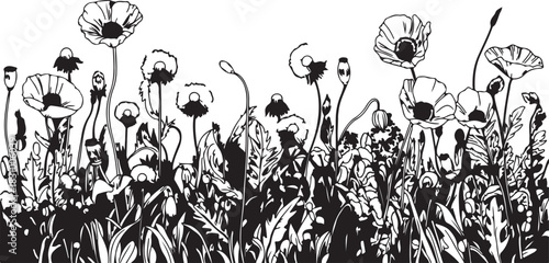 Minimalist black and white illustration capturing the passion for photography with retro cameras, creative inspiration, and framed picture memories