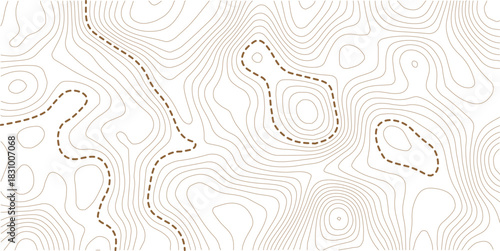 Topographic map background. Geographic line map with elevation assignments. Contour background geographic grid. Vector illustration.