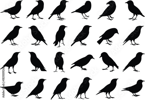 Bird silhouettes, black bird icons, flying poses, perched shapes, avian profiles, isolated set, wildlife graphics, nature symbols, feathered forms