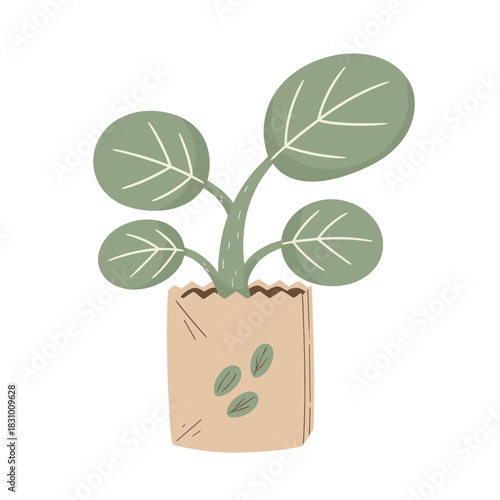 Potted plant with green leaves growing from seed packet for Healthy eating and organic food ingredients  