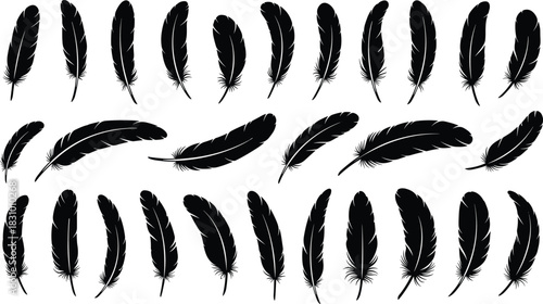 Collection of detailed black feather silhouettes, natural bird feather icons for design, decoration, boho artwork, crafting, tattoo elements, vector illustration