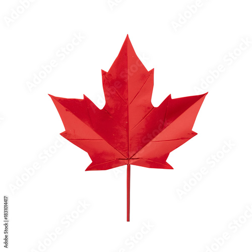 Bright Red Maple Leaf Displays Vibrant Colors of Autumn Season in a Natural S...