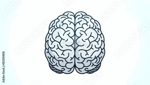 Brain Vector Illustration 2