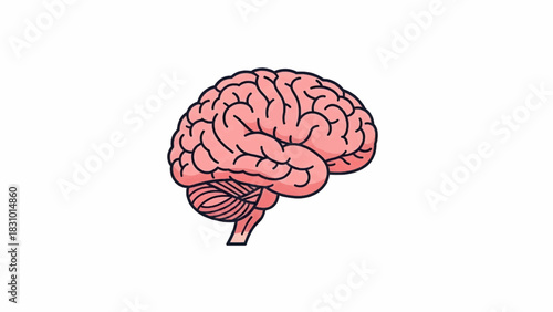 Brain Vector Illustration 1