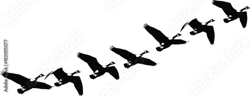 Vector Silhouette of a Flock of Geese or Ducks Flying in a V-Formation, Illustrating Migration, Teamwork, Direction, and the Natural Movement of Wildlife in the Sky