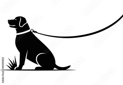 Black silhouette of a dog sitting with a leash attached to its collar outside