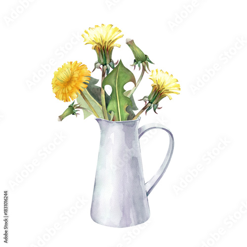 A bouquet of yellow dandelions in a white ceramic jug. Watercolor illustration on an isolated background. Realistic wildflowers for summer design.