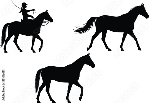 Silhouettes of horses and horseback rider in motion, equestrian illustration showing riding, walking and trotting poses for animal, sport and outdoor design