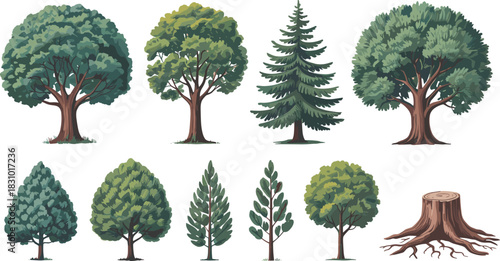 Realistic green forest tree and stump vector illustration set featuring pine and oak for nature landscape design.