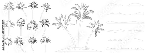Contours of palm trees, constructor kit. Beautiful palm trees, sand, stone. Collection of element for create beautiful exotic island, beach and etc. Vector illustration.