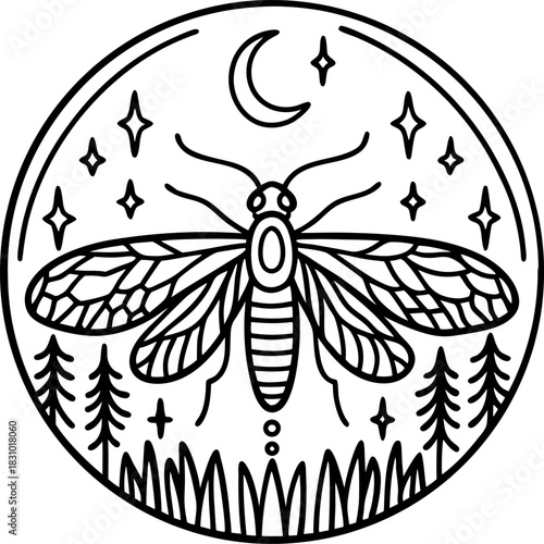 Firefly in night forest circle design with crescent moon, stars, trees and grass outline illustration