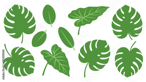 A collection of various green tropical leaves, including Monstera and Elephant Ear, isolated on a white background.