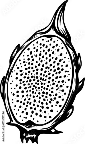 Hand drawn dragon fruit half isolated exotic tropical pitaya slice with seeds, black and white botanical illustration