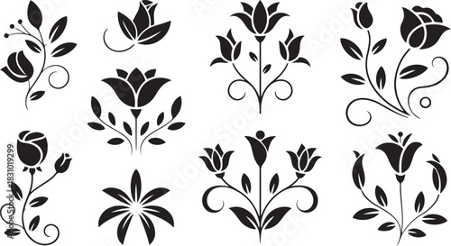 Set of black floral silhouettes and decorative elements on white background Keywords: floral, flower, silhouette
