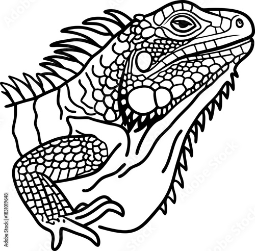 iguana reptile head and foreleg line art illustration, detailed lizard outline for coloring page
