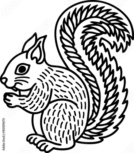 Squirrel outline illustration with decorative tail cute woodland animal line art for coloring page
