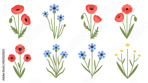 Collection of stylized floral illustrations featuring red poppies, blue cornflowers, and yellow wildflowers on a white background.