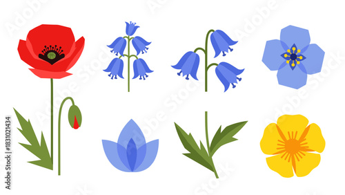 Illustration of various stylized flowers including a red poppy, bluebells, and other blue and yellow floral designs on a white background.