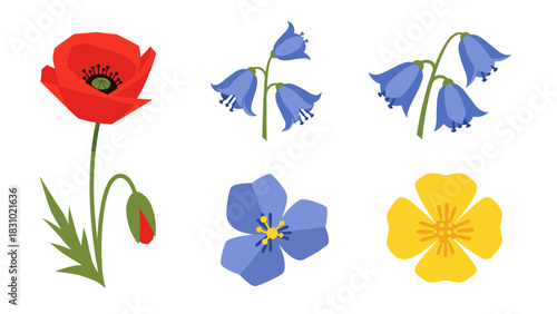 A vibrant collection of stylized illustrations featuring various colorful flower blossoms and buds.