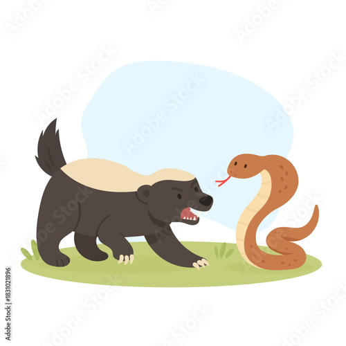 Honey Badger fights with Cobra and it is certain that the winner is Honey Badger. Honey Badger and Cobra vector illustration on white background