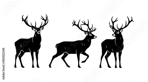 Majestic deer silhouettes, a powerful trio of bucks with impressive antlers, isolated on white.