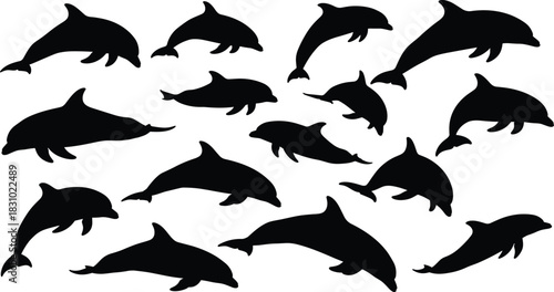 Collection of black dolphin silhouettes showing various jumping and swimming poses. Isolated vector set of aquatic marine mammal animal shapes.