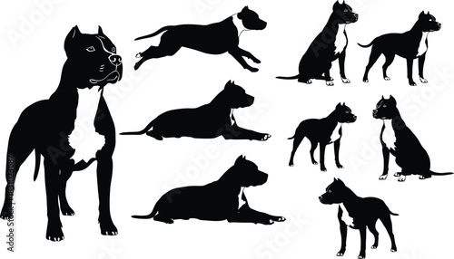 Dog silhouette poses set, black dog icons, sitting, standing, walking, running, lying down, breed anatomy, pet vector illustration
