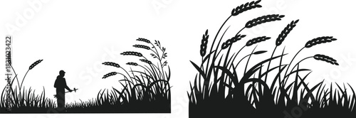 Farmer silhouette in field, harvesting wheat plants, rural agriculture scene, traditional farming art, crop cultivation vector, countryside lifestyle design