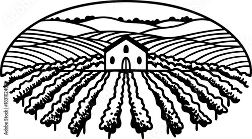 Rural farmhouse with vineyard rows and rolling hills rustic agricultural landscape line art illustration