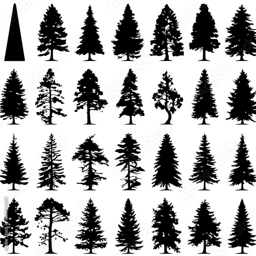 Silhouette trees various types