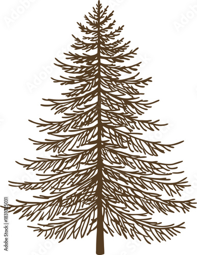 Tall detailed evergreen tree silhouette illustration with intricate branches and natural conifer shape