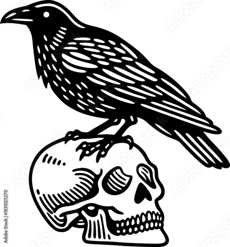 Raven perched on human skull, gothic macabre symbol of death, mystery, darkness and foreboding omen