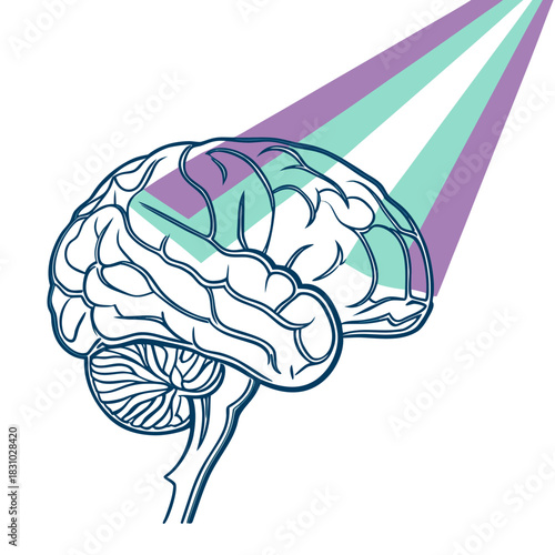 Stylized human brain illustration with purple and teal beams of light shining on its surface