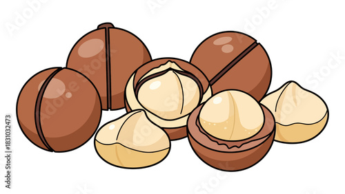 A collection of macadamia nuts some whole and some cracked open